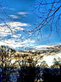 Low angle view of silhouette trees against sky