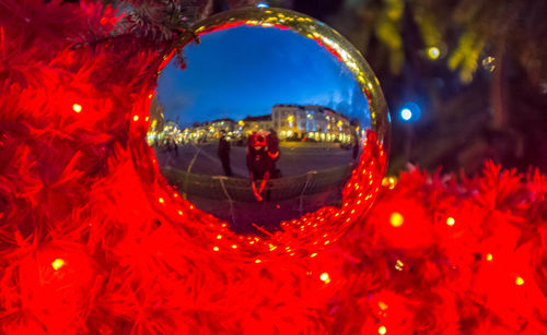 Close-up of illuminated trees at night