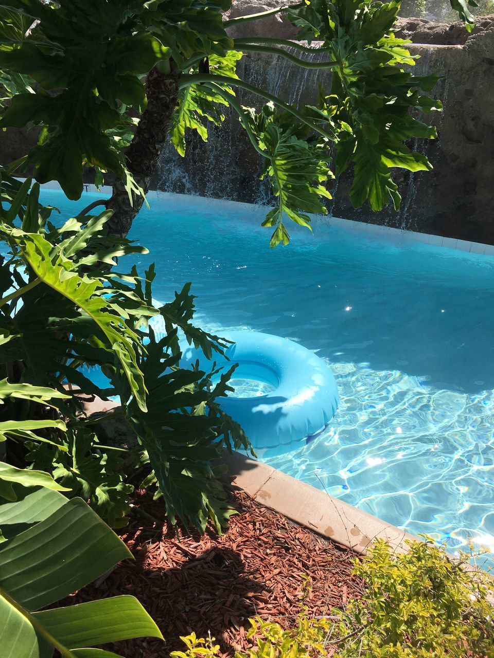 HIGH ANGLE VIEW OF SWIMMING POOL AGAINST TREES