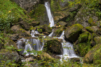 Scenic view of waterfall in forest