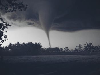 Trees on field against storm clouds