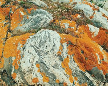 Full frame shot of rock