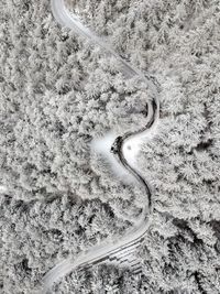 Aerial view of winding road amidst snow covered trees in forest