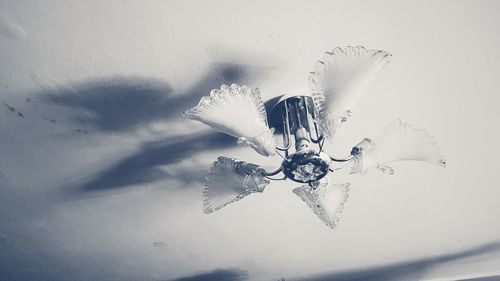 High angle view of smoke on white background