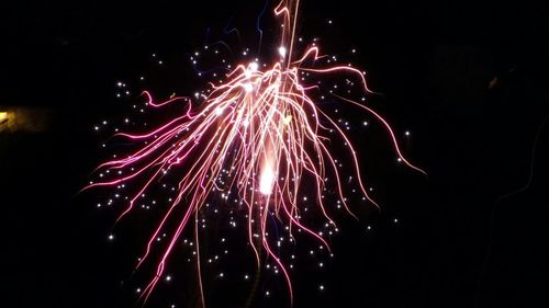 Low angle view of firework display