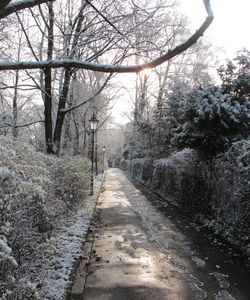 Road amidst bare trees against sky