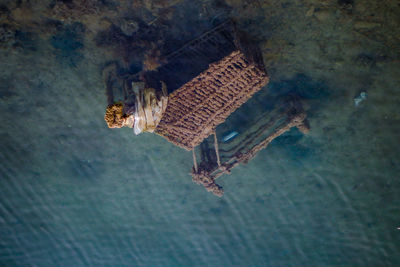 High angle view of abandoned shopping cart in sea