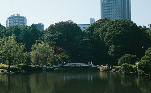 Trees by river against sky in city