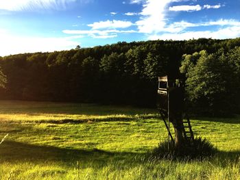 Trees on field against sky