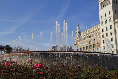 View of flowering plants and buildings against cloudy sky