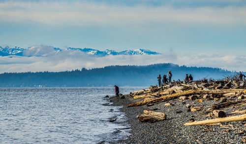 Olympic mountains from lincoln park in west seattle, washington.