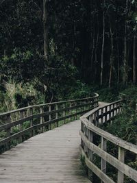 Footbridge amidst trees in forest