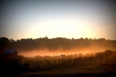 field