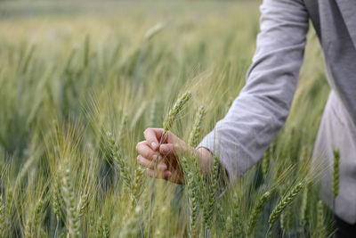 Young woman in wheat field