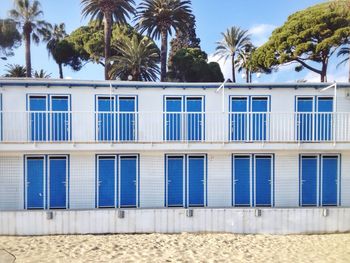 Palm trees against buildings