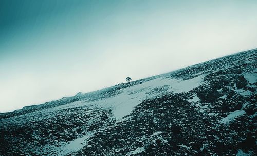 View of trees against blue sky