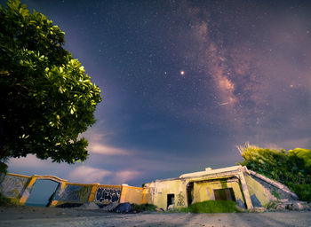 Low angle view of trees against sky at night