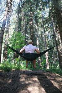 Rear view of man in forest