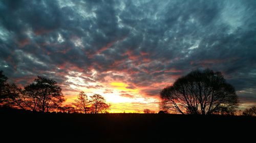 Silhouette trees on field against dramatic sky