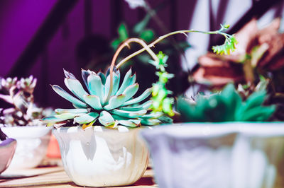 Close-up of white flower vase on table