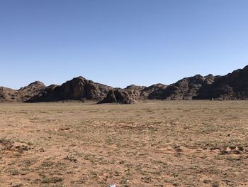 Desert environment at the time of spring appearance after drought ground