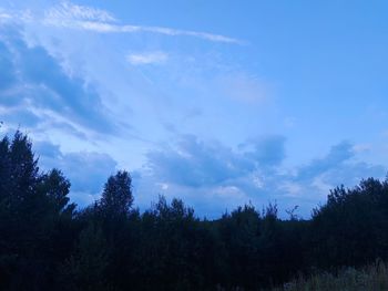 Low angle view of trees against sky