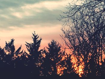 Low angle view of silhouette trees against sky during sunset