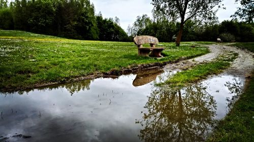 Reflection of trees on field against sky