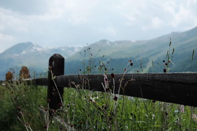 Wooden fence by plants on field against sky