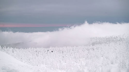winter