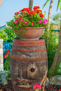 Close-up of flower pot against plants