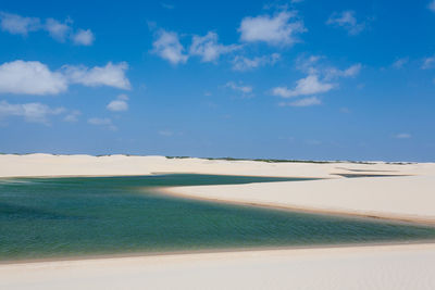 Scenic view of beach against blue sky