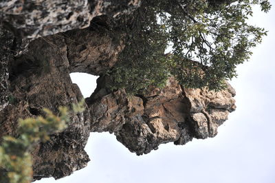 Low angle view of rock formation against sky