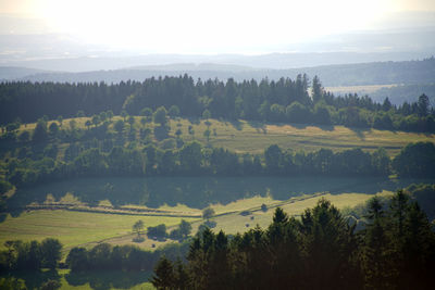 Scenic view of trees and landscape against sky