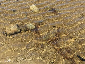 Full frame shot of sandy beach