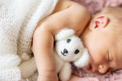 Cropped hand of woman with teddy bear