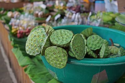 Lotus pod, edible green seed 