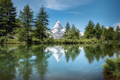 Scenic view of lake by trees in forest against sky