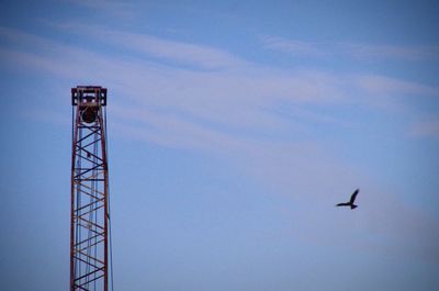 Low angle view of birds flying against clear sky