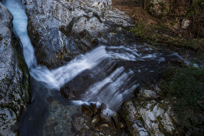 Scenic view of waterfall in forest