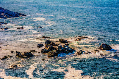 High angle view of rocks on beach