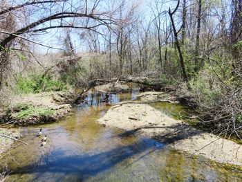 Scenic view of river