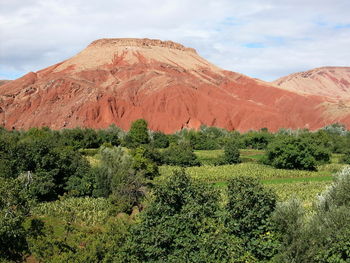 Countryside landscape against rocky mountains