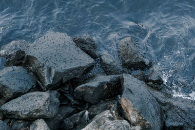 High angle view of rocks on beach