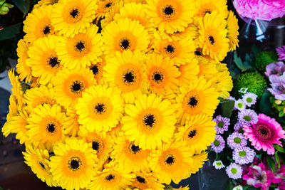 Close-up of yellow flowering plants