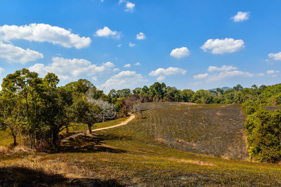 Road amidst trees on field against sky