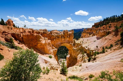 Scenic view of canyon national park against sky