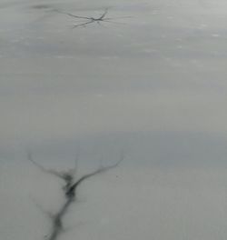 Close-up of water