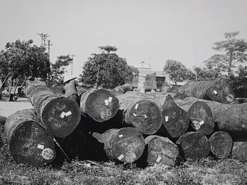 Trees on field