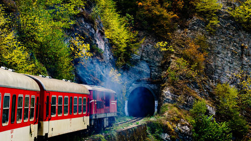 Wide view of train entering tunnel in mountainous landscape